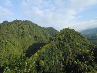 Grüne Berge aus Kaliurang