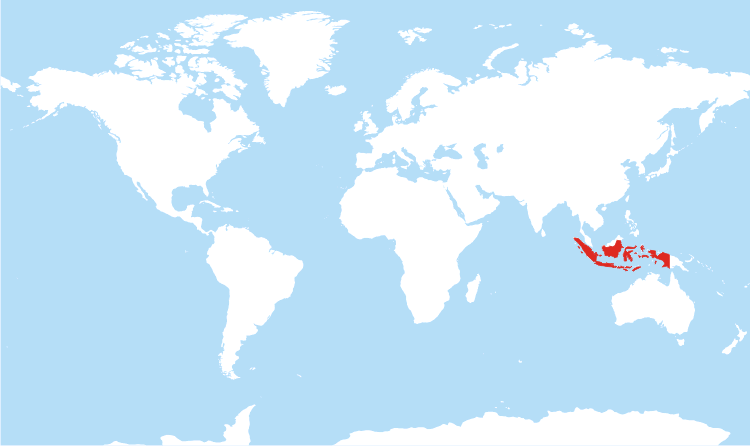Weltkarte auf der Indonesien eingezeichnet ist